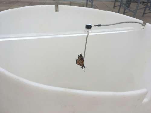 Monarch inside a flight simulator