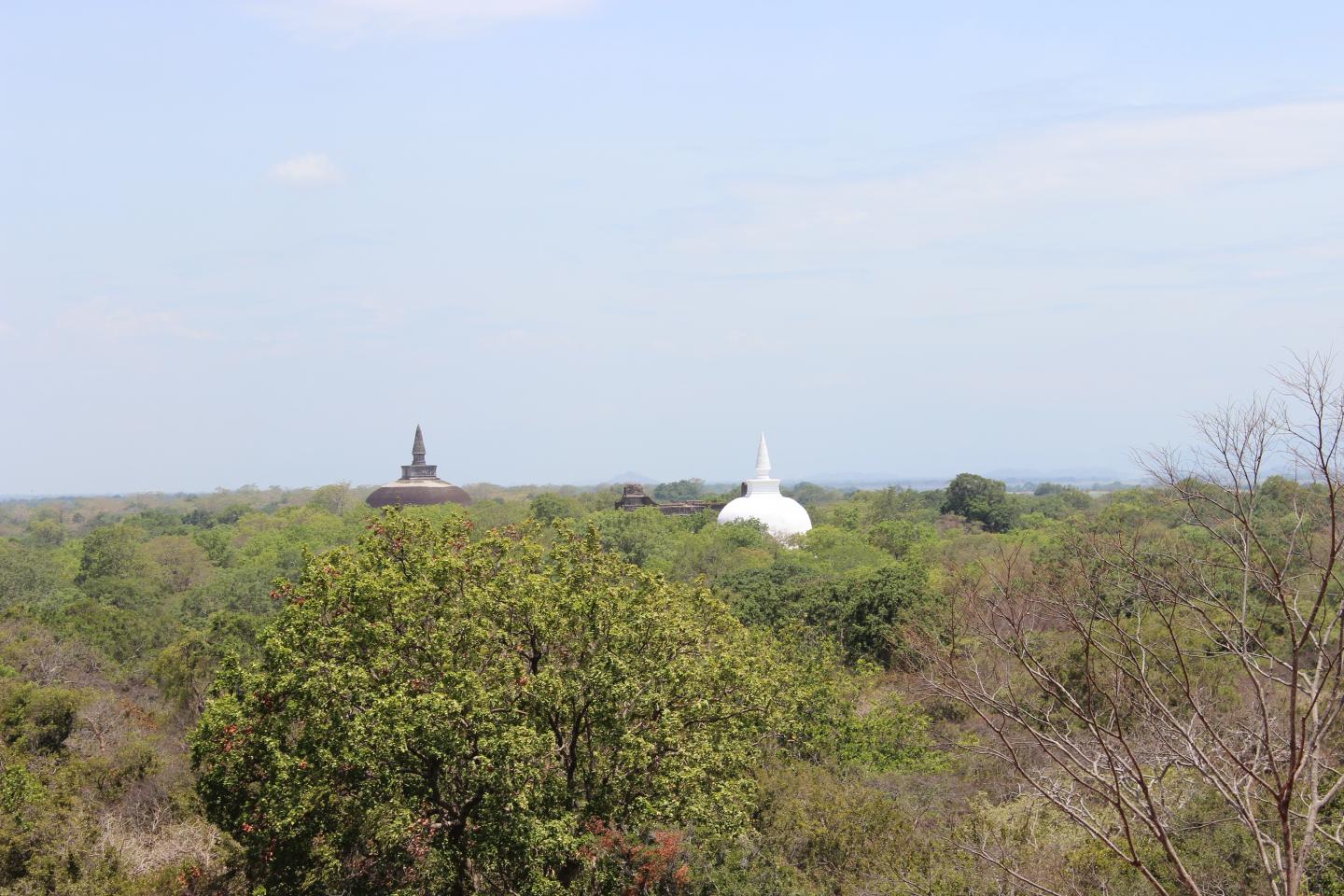 Relic Buddhist Stupas Rising out of the Tropical Forest at Polonnaruwa, Sri Lanka