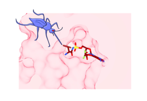 This parasite self-destructs: Researcher