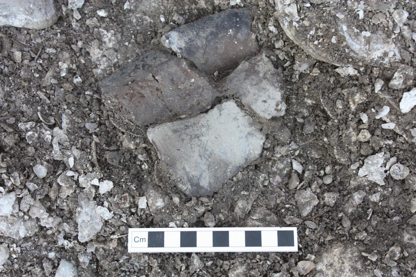 Pottery Fragments