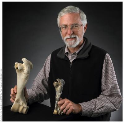 Field Museum Mammalogist Examines Fossil