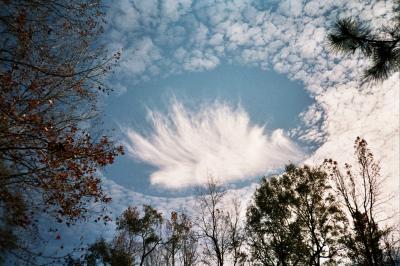 Hole-Punch Clouds