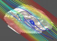Computer Simulation of Water Flow around a 3-D Model of <i>Tribrachidium</i>