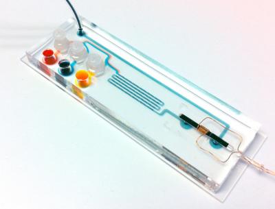 Microfluidic Device for Rapid TB Diagnosis
