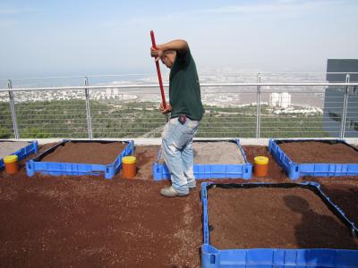 Israel's First Green Roofs Ecology Research Center, University of Haifa