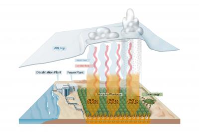 Processes Involved in Carbon Farming