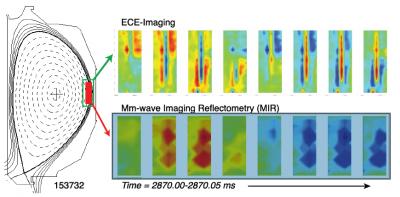 Tracking Turbulence in a Tokomak