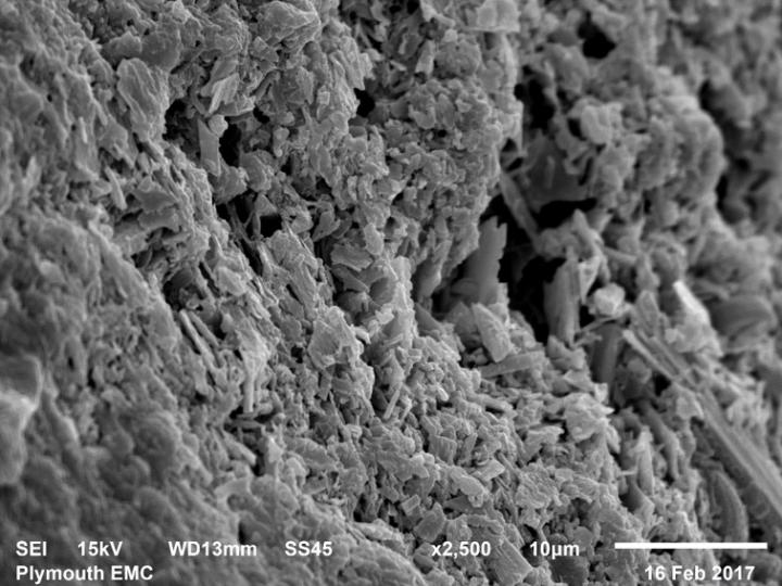 Mussel Shell in Future Ocean Conditions