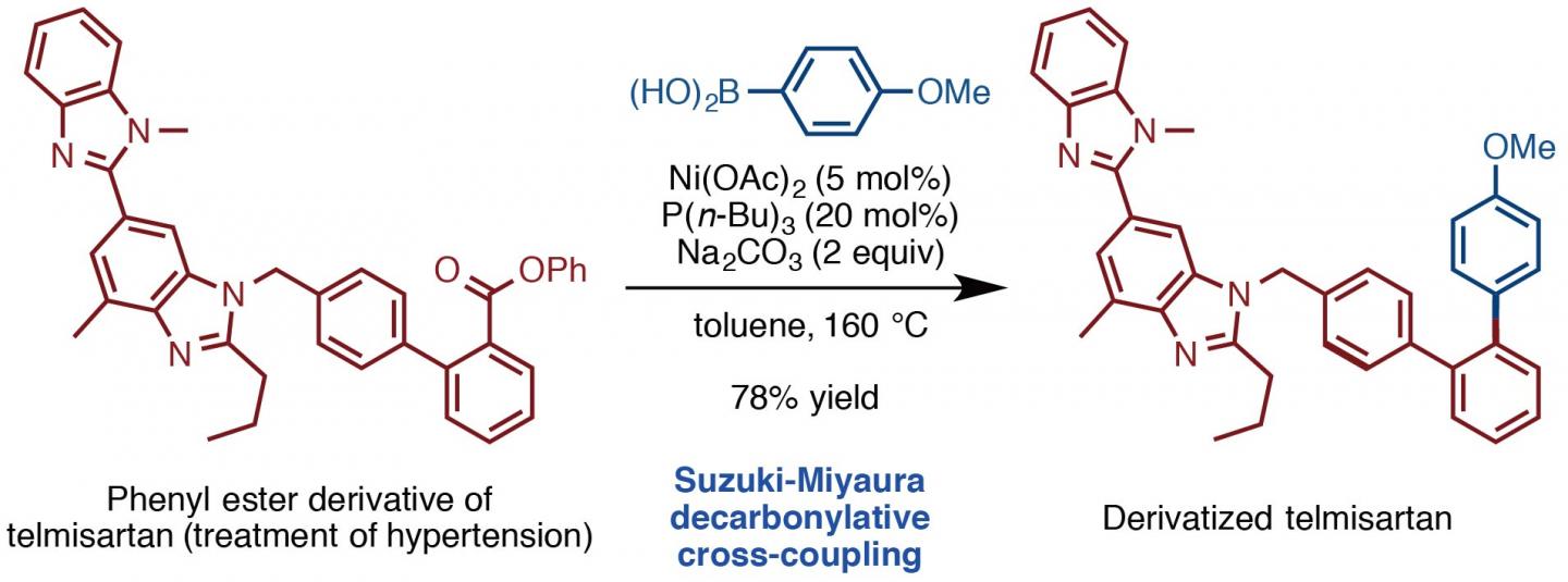 Application of the Suzuki-Miyaura Decarbonylative Cross-Coupling Reaction