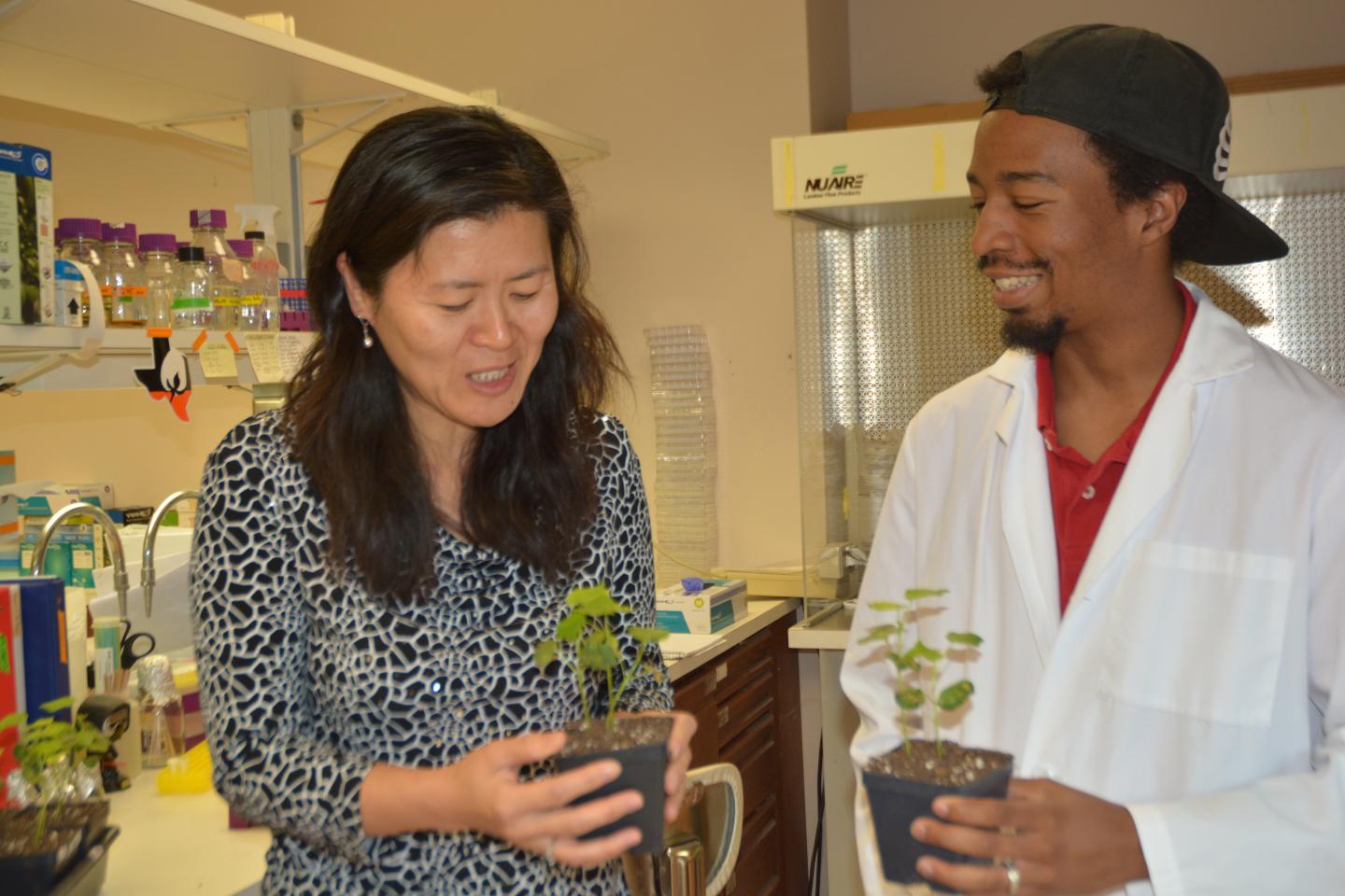 Secret Weapon of Smart Bacteria Tracked