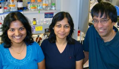 Amrita Das, Indrani Bagchi and Milan Bagchi, University of Illinois at Urbana-Champaign