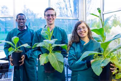 Scientists with Modified Plants