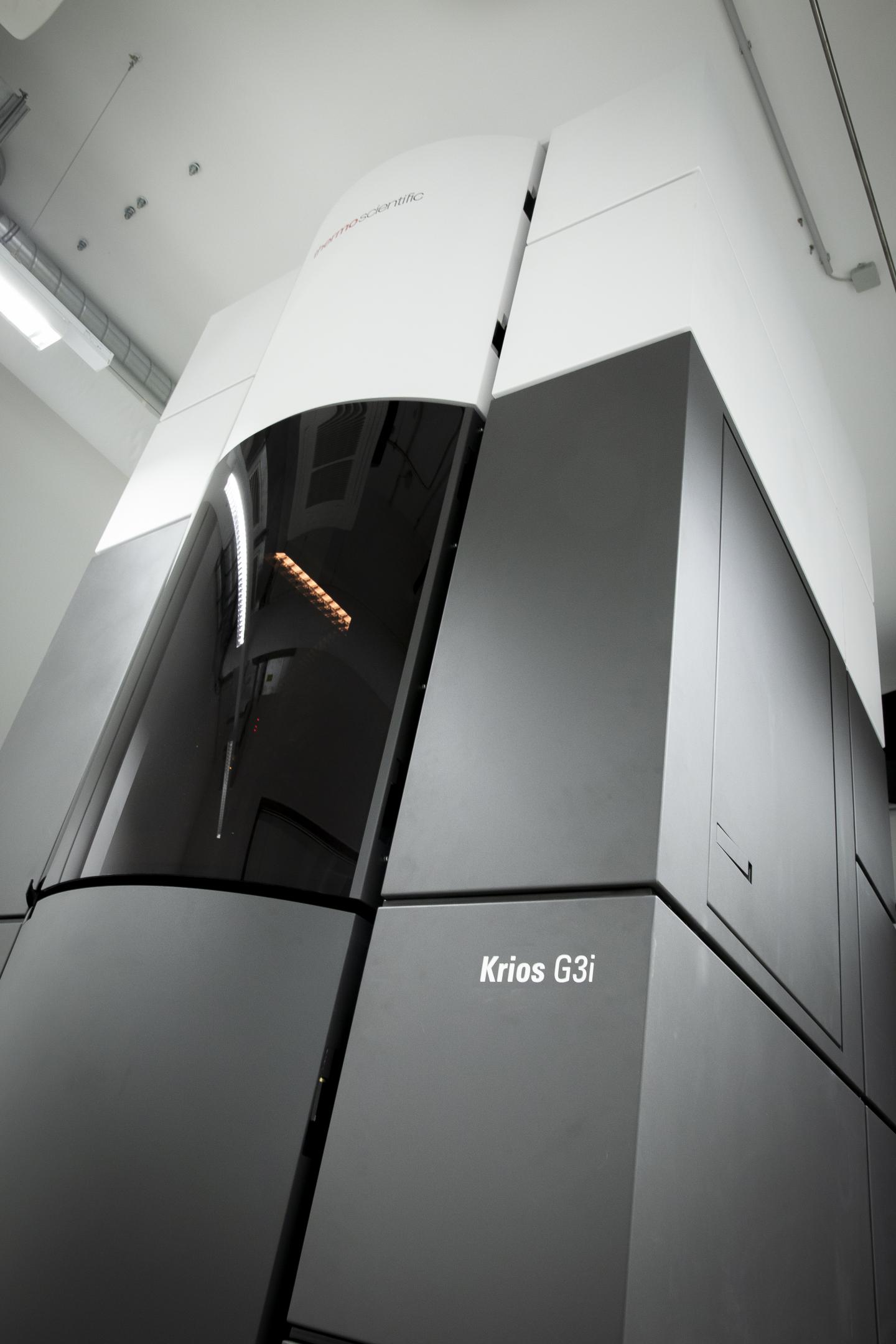 300 kV FEI Titan Krios at IST Austria