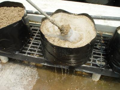 Recycling Perlite: New, Improved Method Saves Resources