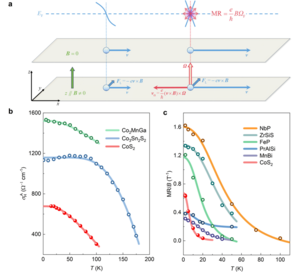 The schematic illustration of Berry curvature induced LPMR and the fitting of experimental data to theoretical equations