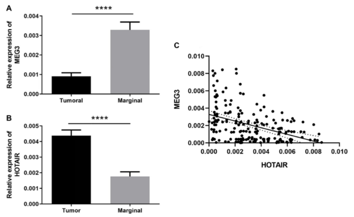 Figure 1 [IMAGE] | EurekAlert! Science News Releases