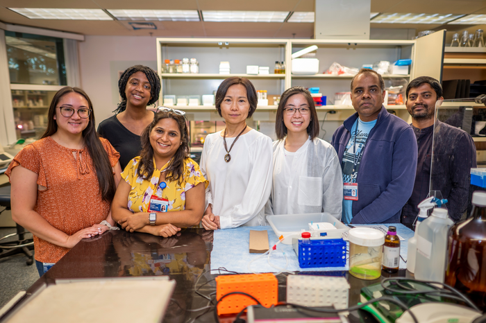 Peptide delivered by nasal spray can reduce seizure activity, protect neurons in Alzheimers, epilepsy