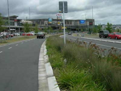 Innovative Road Construction with Grass Swales to Reduce Flood Damage -- Auckland, NZ