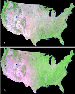 Clean Landsat composite image