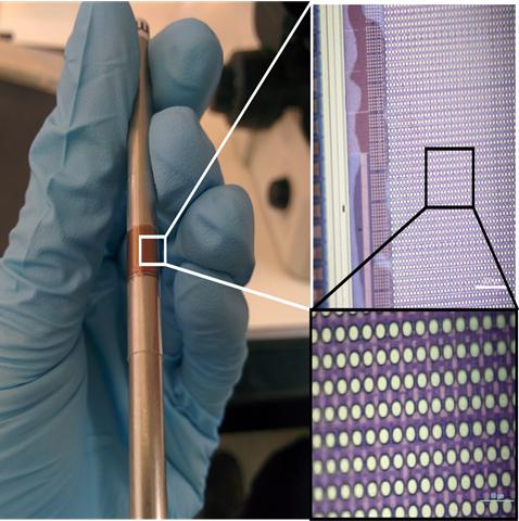 Flexible Multielectrode Array