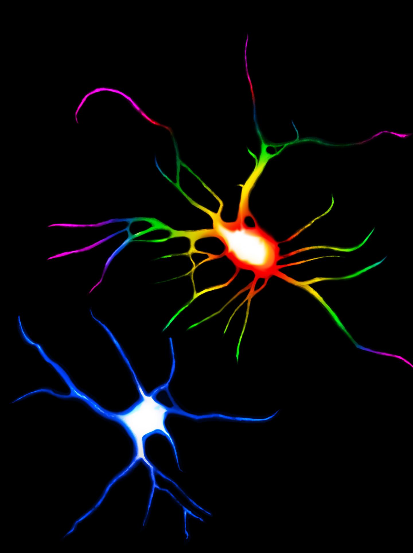 Psychedelic Drugs, Ketamine Change Structure of Neurons