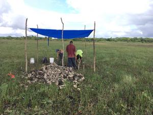 Excavation in wetlands of Belize