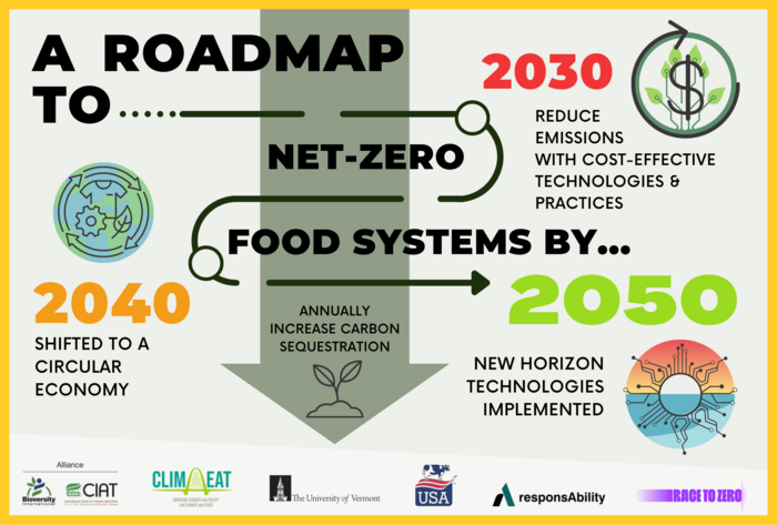 Roadmap to Net Zero