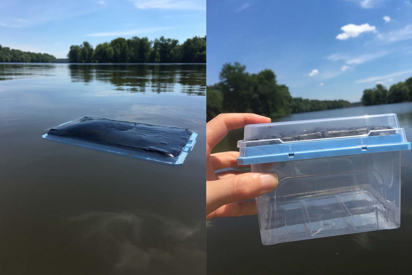 Water purification driven by the sun