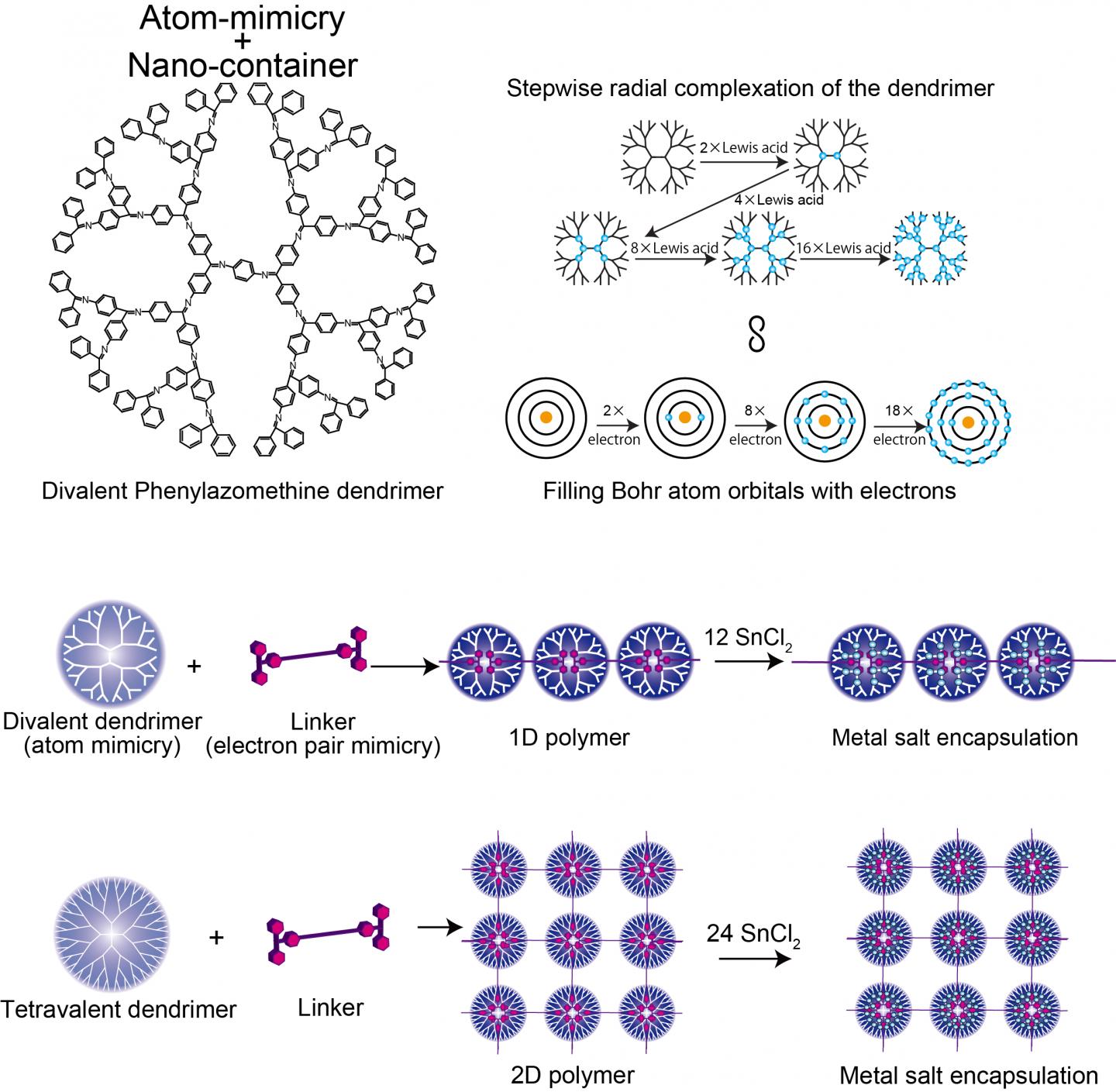 Structure of Divalent Phenylazomenthine Dendrimer
