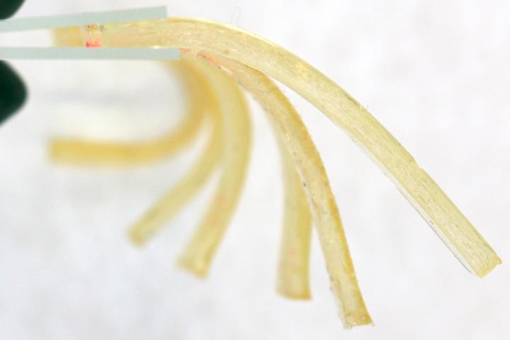 Polymer Synthesis Gets a Jolt of Caffeine