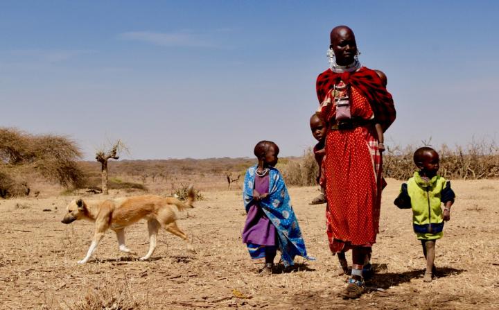 Massai Woman with Dogs and Children
