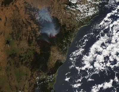 Wollemi National Park Bushfires in New South Wales, Australia