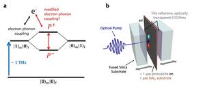 Electron-phonon coupling in an optically accessible, terahertz-tuneable cavity