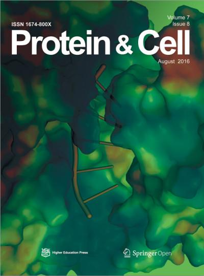 <i>Protein & Cell</i>
