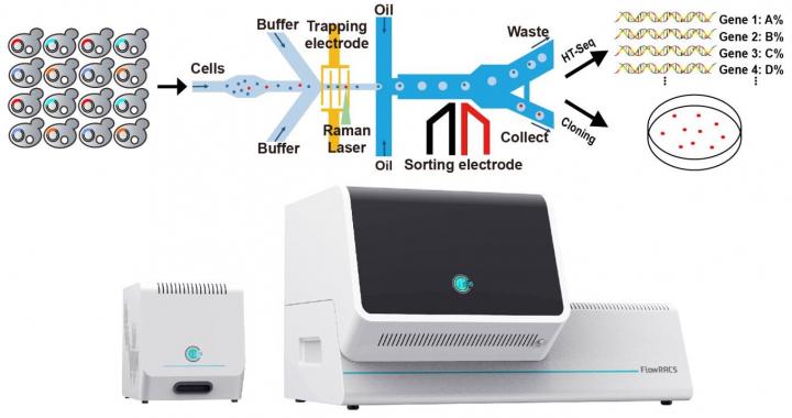 Schematic Illustration