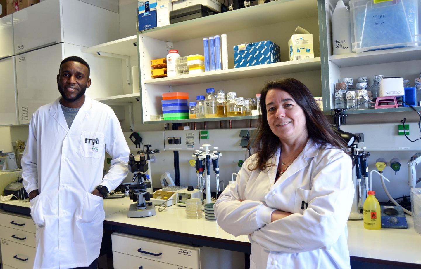 Opeyemi U. Lawal and Maria Miragaia