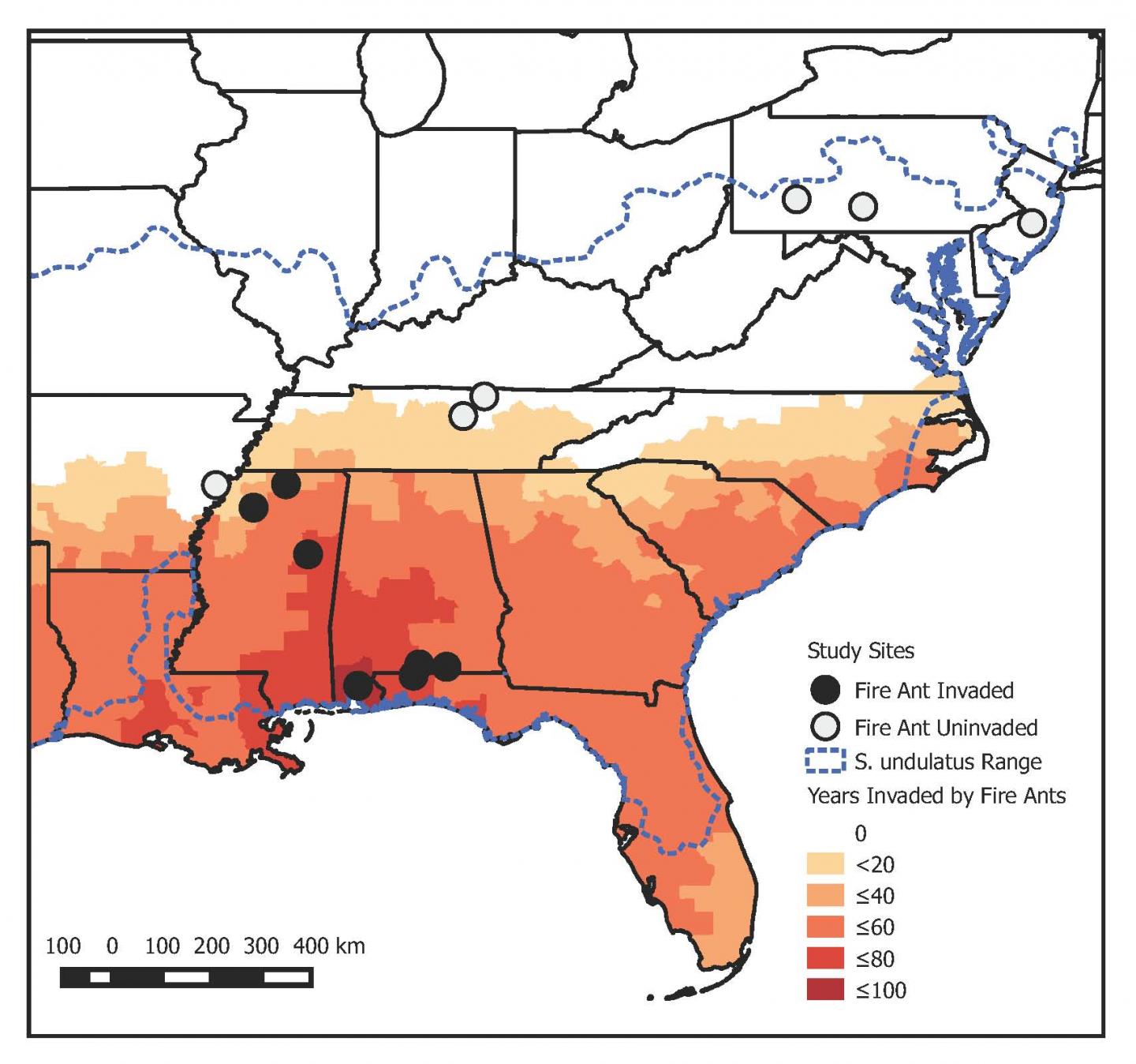 Fire Ant Lizard Map [IMAGE] EurekAlert! Science News Releases