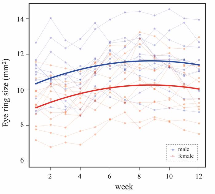 Weekly variations in eye ring size of Javasparrows when pair-bonded