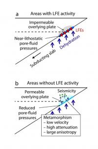Schematic Models for the Development of Pore-Fluid Pressure Along the Megathrust