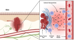 Melanoma killers