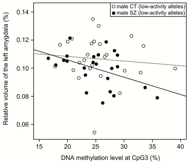 CpG3のDNAメチル化率と左扁桃体体積の関連