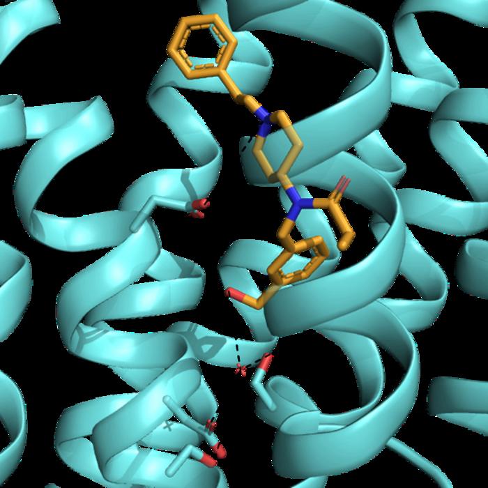 Designing safer opioids [IMAGE] | EurekAlert! Science News Releases