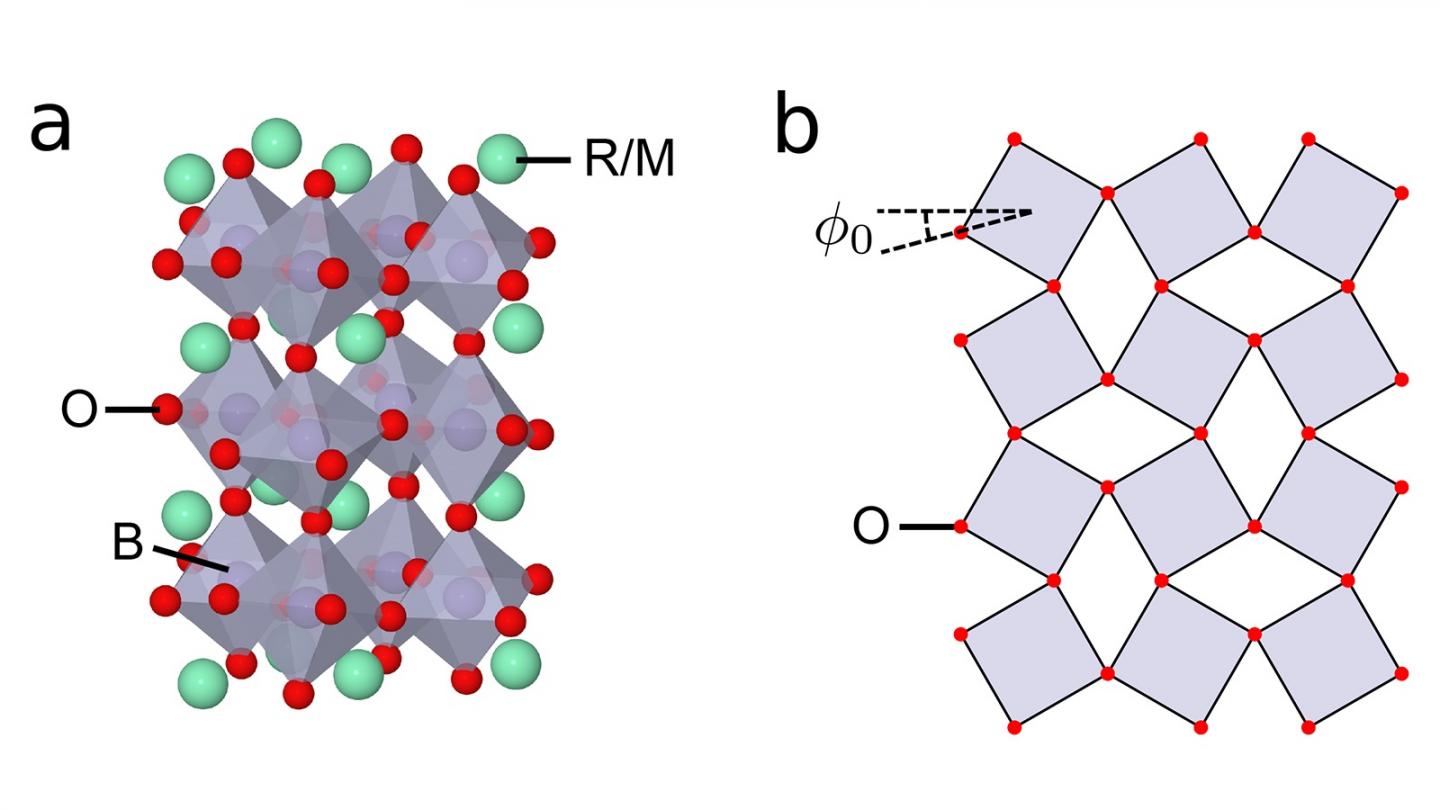 Structure of Perovskite Transition Metal Oxides