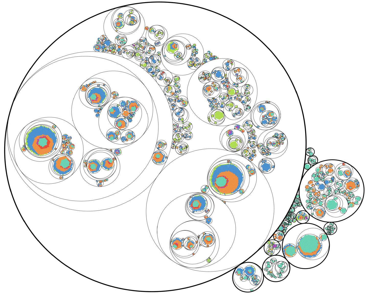 Tracing cancer cells' lineage