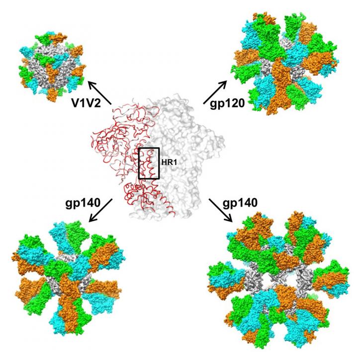 Nanoparticle Mimics HIV