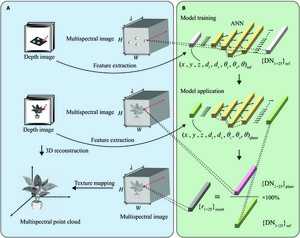 Fig. 3. Principle and flow chart of plant multispectral reflectance correction.