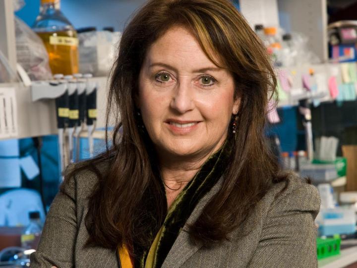 Pamela Itkin-Ansari, Sanford Burnham Prebys Medical Discovery Institute