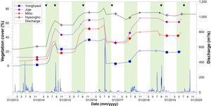 The variation in river discharge and changes in vegetation area from 2013 to 2020 in Naeseong-cheon.