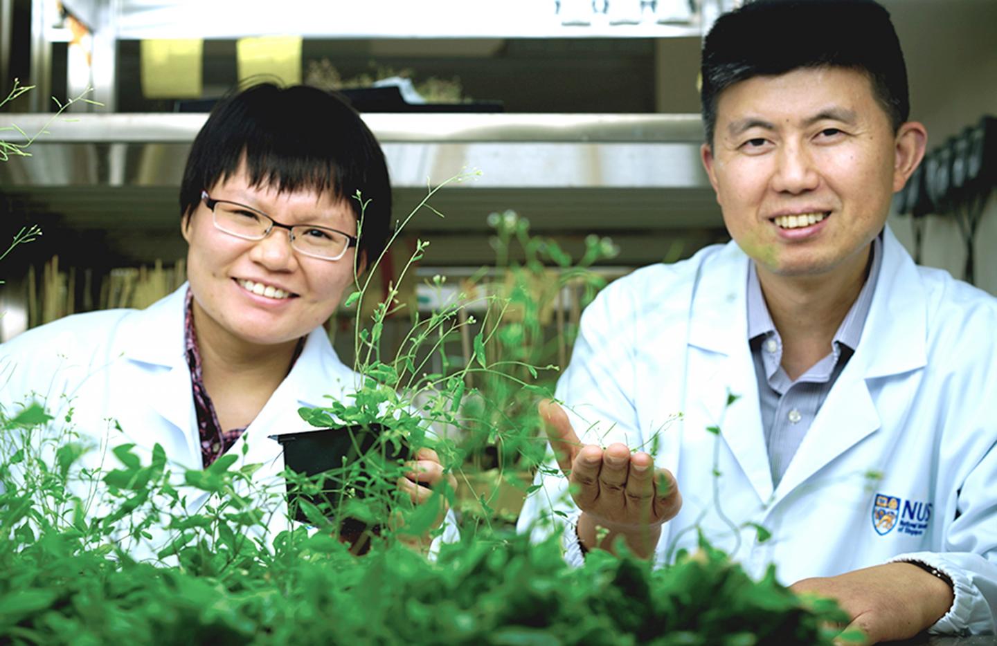Xu Jian and Hong Jing Han, National University of Singapore
