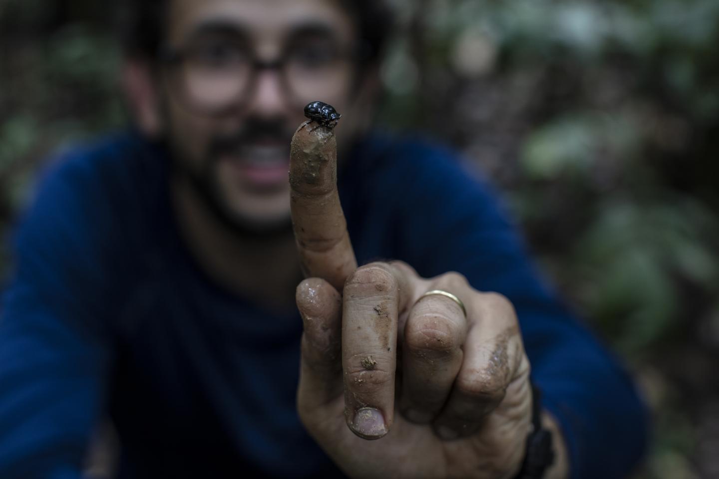 Researcher and Beetle